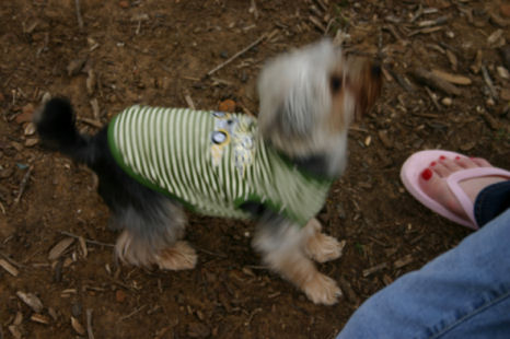 Image130