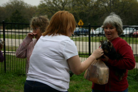 Image72