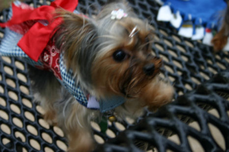 Image92