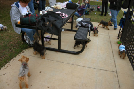 Southlake_MeetUp_3_29_08_A