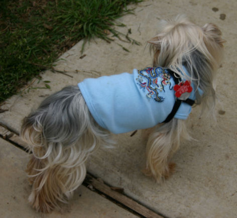 Southlake_MeetUp_3_29_08_Gg
