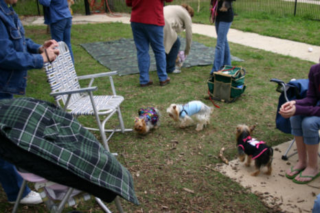 Southlake_MeetUp_3_29_08_V