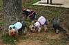 Southlake_MeetUp_3_29_08_P.jpg