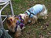 Southlake_MeetUp_3_29_08_U.jpg