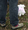 Southlake_MeetUp_3_29_08_o.jpg