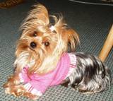 Copy_of_misspreppy1