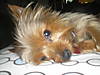 P1010067.JPG
