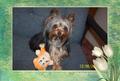 Abby_at_11_months
