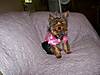 furkids_035.jpg