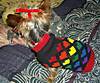 Picture_670.jpg