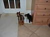DSCF0026.JPG