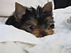 Riley_2-19-07_043.jpg