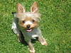 Riley_7-18_001.jpg
