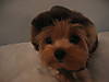 Riley_7-18_017.jpg