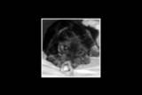th_blacknwhite