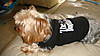 DSC03642.JPG