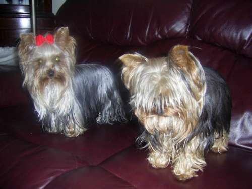 sophie_pebbles_at_play_009-500