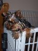 Maxie_Waxie_017.JPG