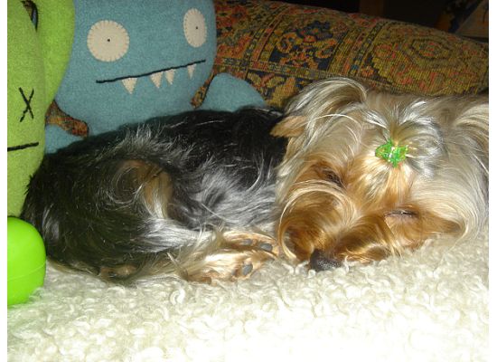 paris_sleepytime