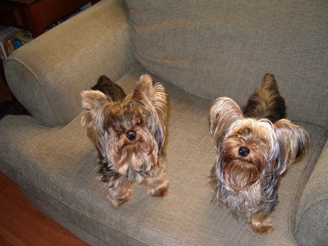 katie_and_babies_0011