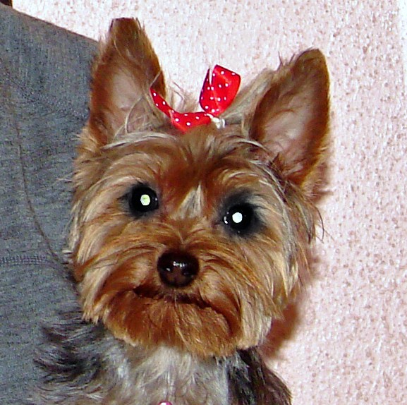 DSC02830_edited_1_
