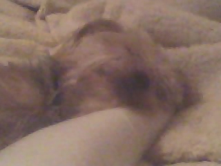 Kodie_sleepin