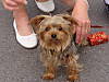 DSC00323.JPG