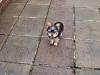 DSC00364.JPG