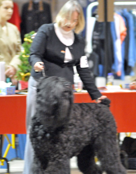 2009_12_13_3552_edited-1_Magci_Xmas_show_2009