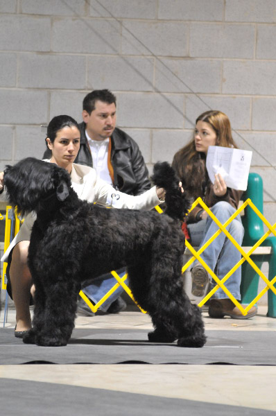 2009_12_13_3558_Zoey_in_Group_-_Xmas_show_2009