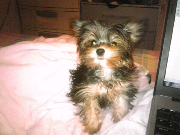 cuteness2