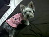 IMG00088-20100215-1925.jpg