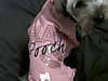 IMG00089-20100215-1925.jpg