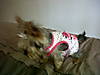 IMG00090-20100220-1414.jpg
