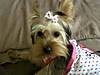 IMG00096-20100220-1415.jpg