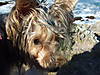 DSCF3252.JPG
