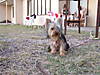 DSCF3373.JPG