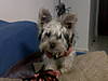 IMG00131-20100304-1605.jpg