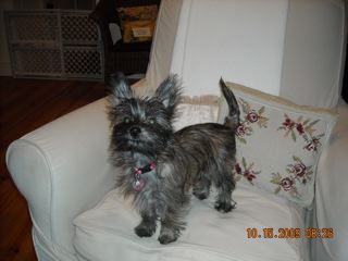 DSCN06571