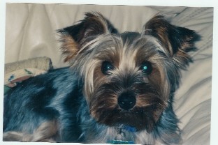 Spunky_001
