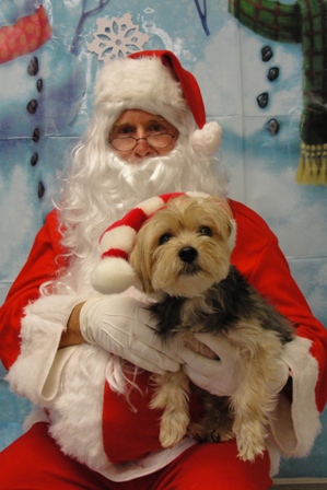 christmas9