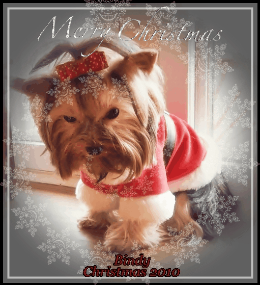 christmas10022-1