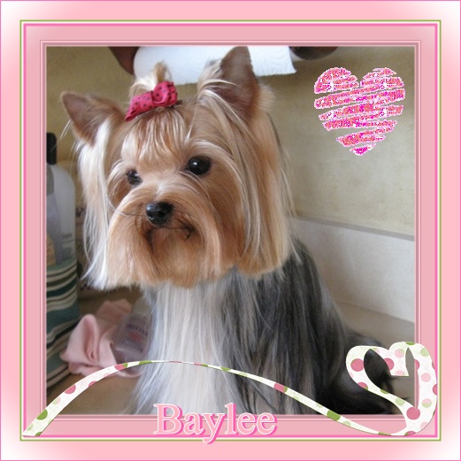 Baylee_pretty_in_pink_