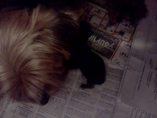 sammie_and_her_baby