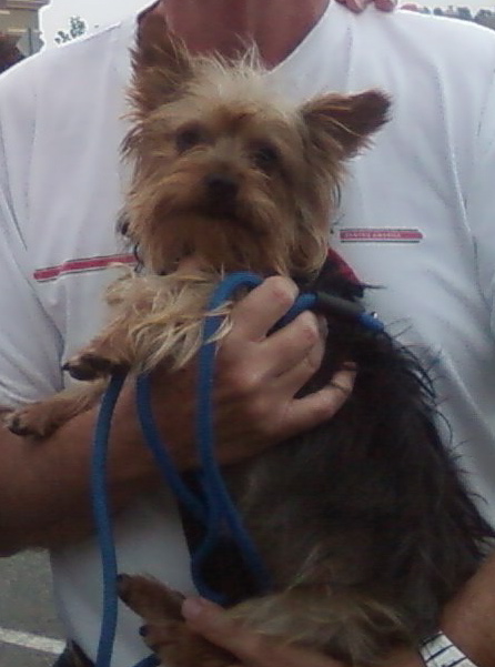 Photo0063_21