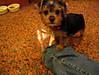 n680215658_518261_4330.jpg