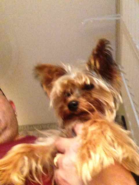 Sammy_01