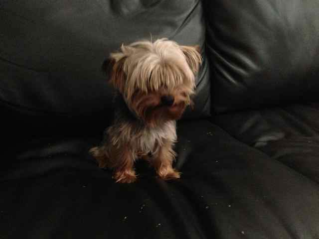 Sammy_04