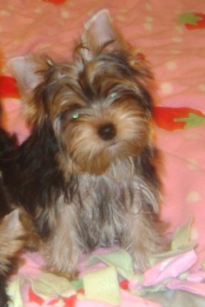 090_hannah