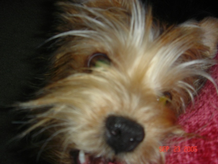 10-14-05_014resize